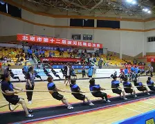 板球大师赛掀起高潮，中原白虎队逆转西城天狼队，高压逼抢奏功——宿敌对话再升级-开云体育网页版入口